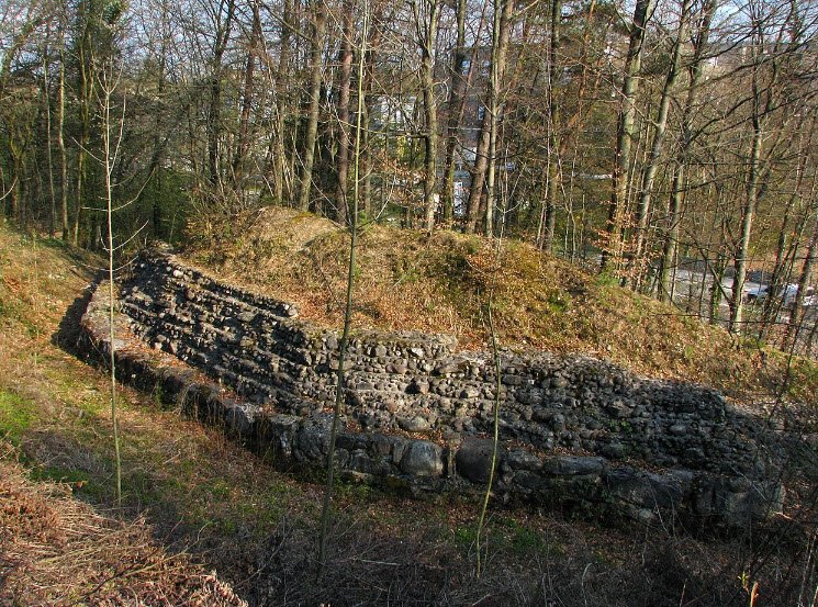 Ruin Breitenlandenberg, Switzerland